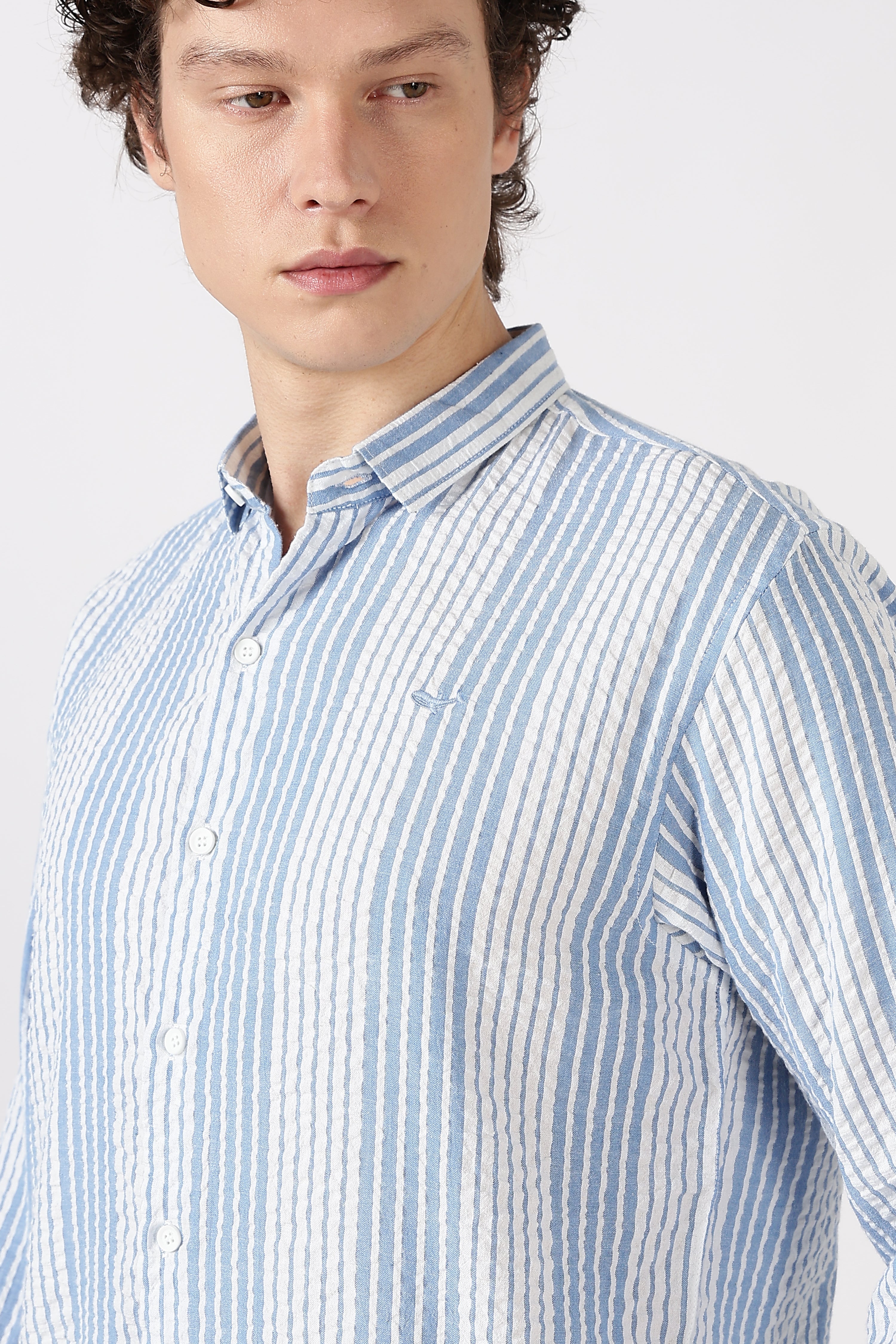 Seersucker Pinstripe Cotton Regular Fit Skyline Striped Shirt
