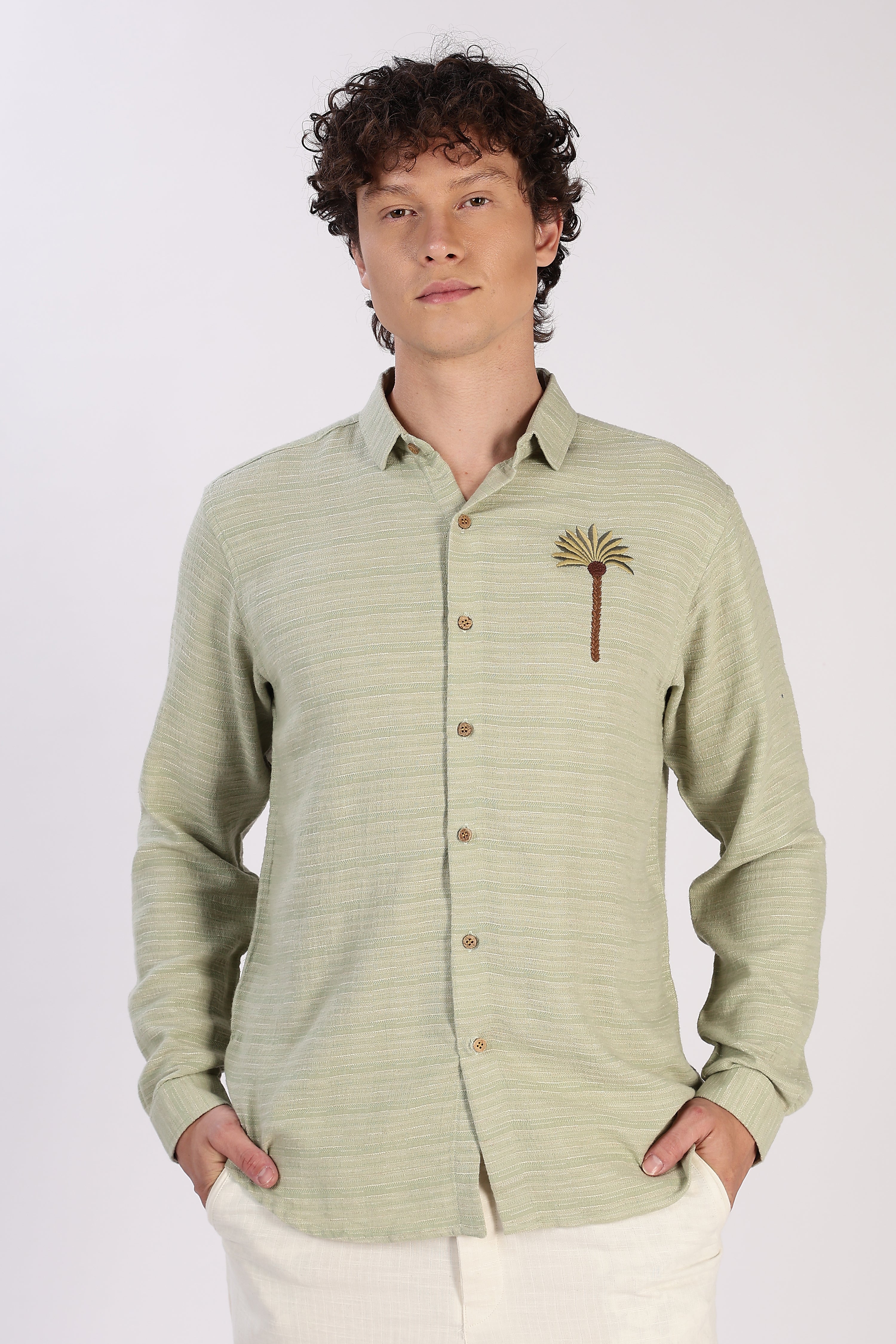Palm Crest Cotton Regular Fit Sage Green Striped Shirt