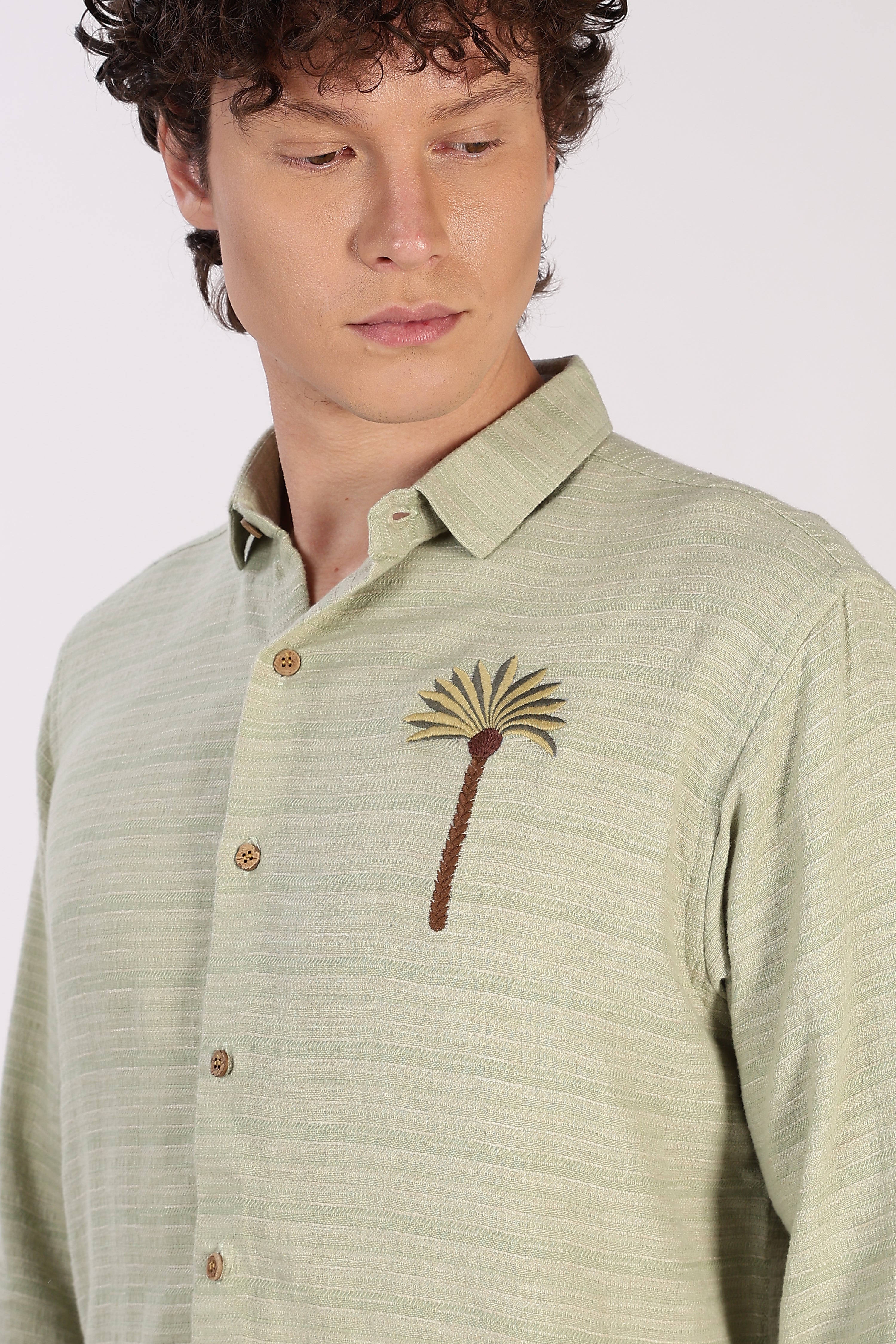 Palm Crest Cotton Regular Fit Sage Green Striped Shirt