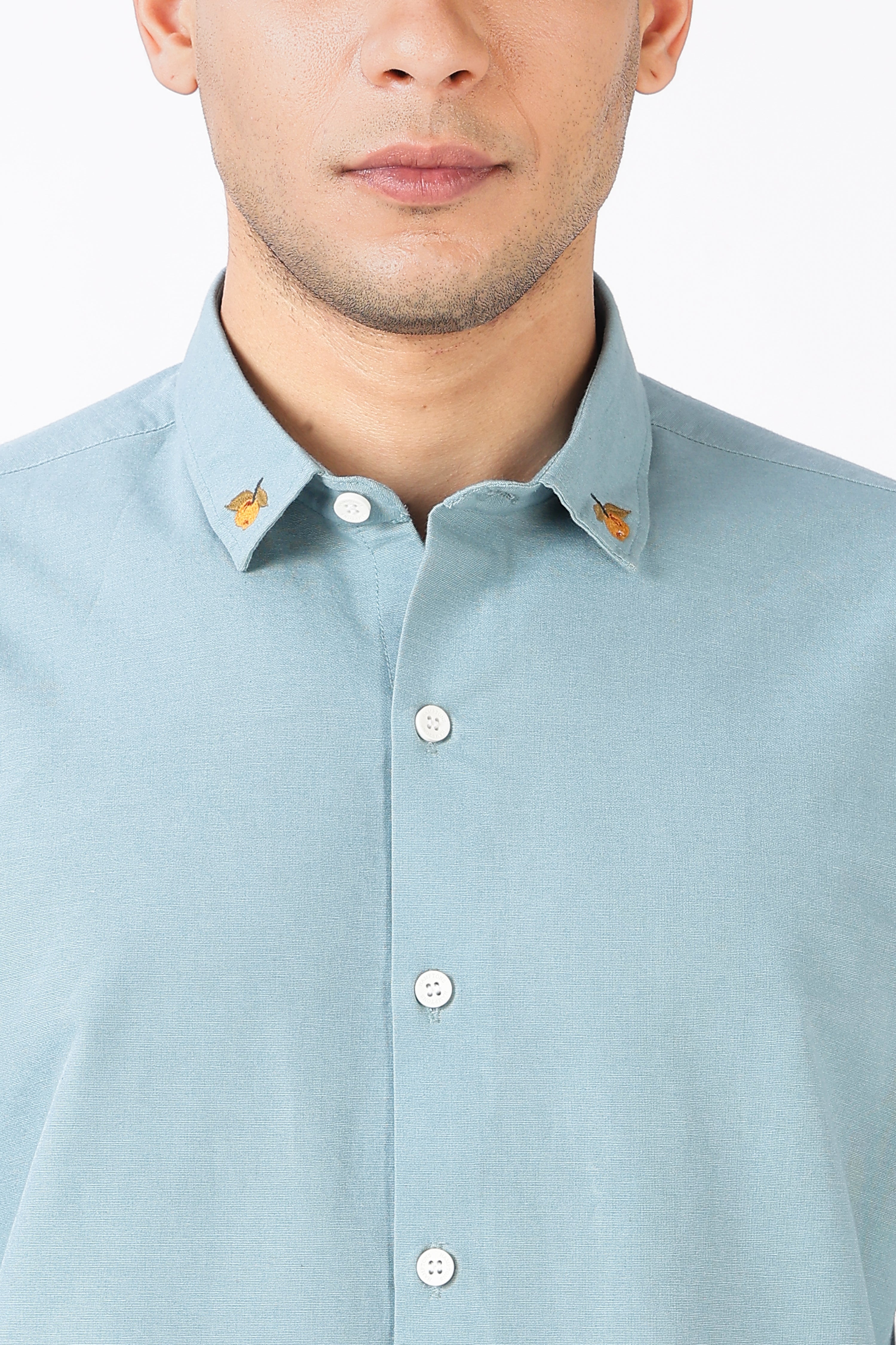 Citrus Grove Cotton Regular Fit Sky Blue Embroidered Shirt