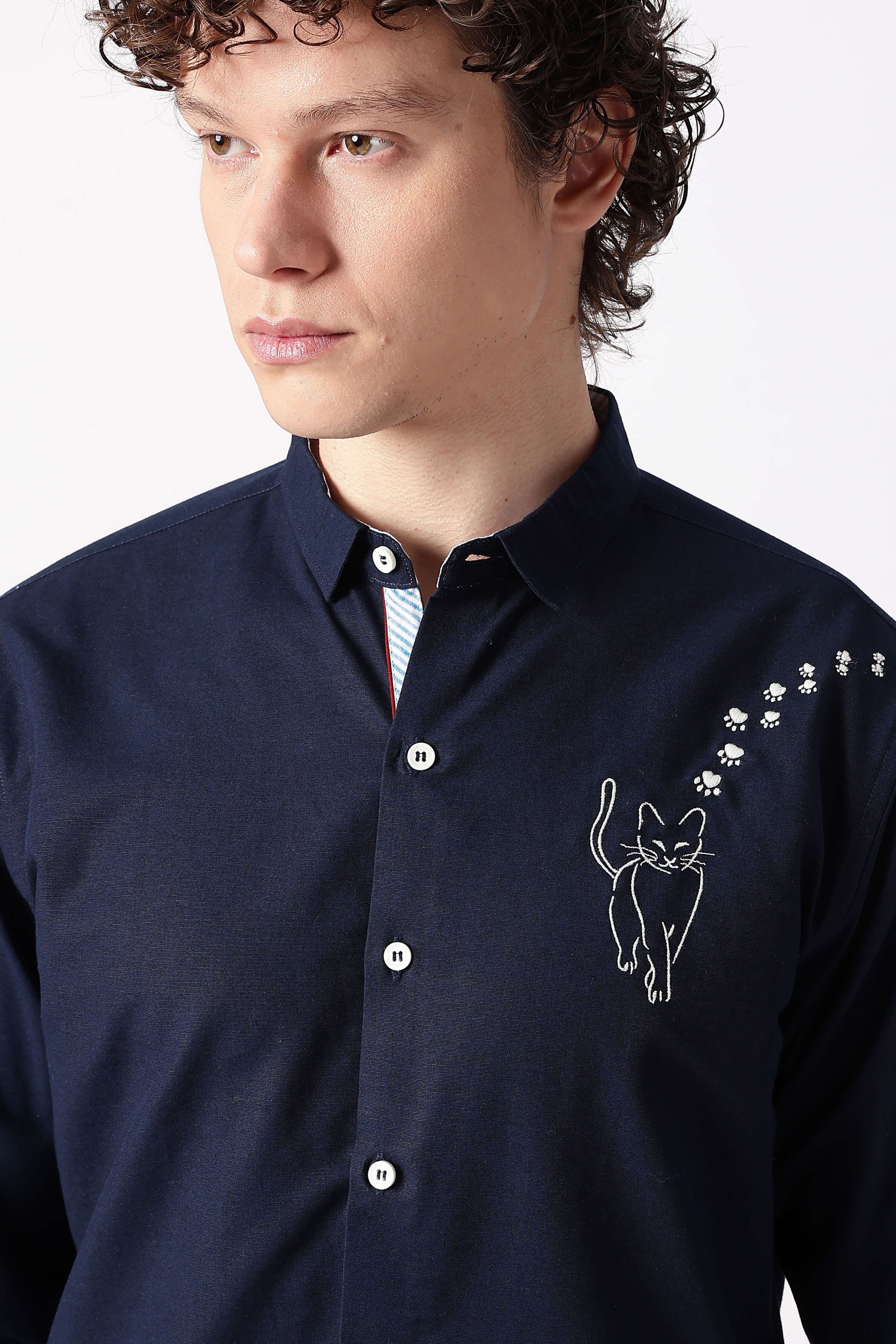 Playful Cat Cotton Regular Fit Blue Embroidered Shirt