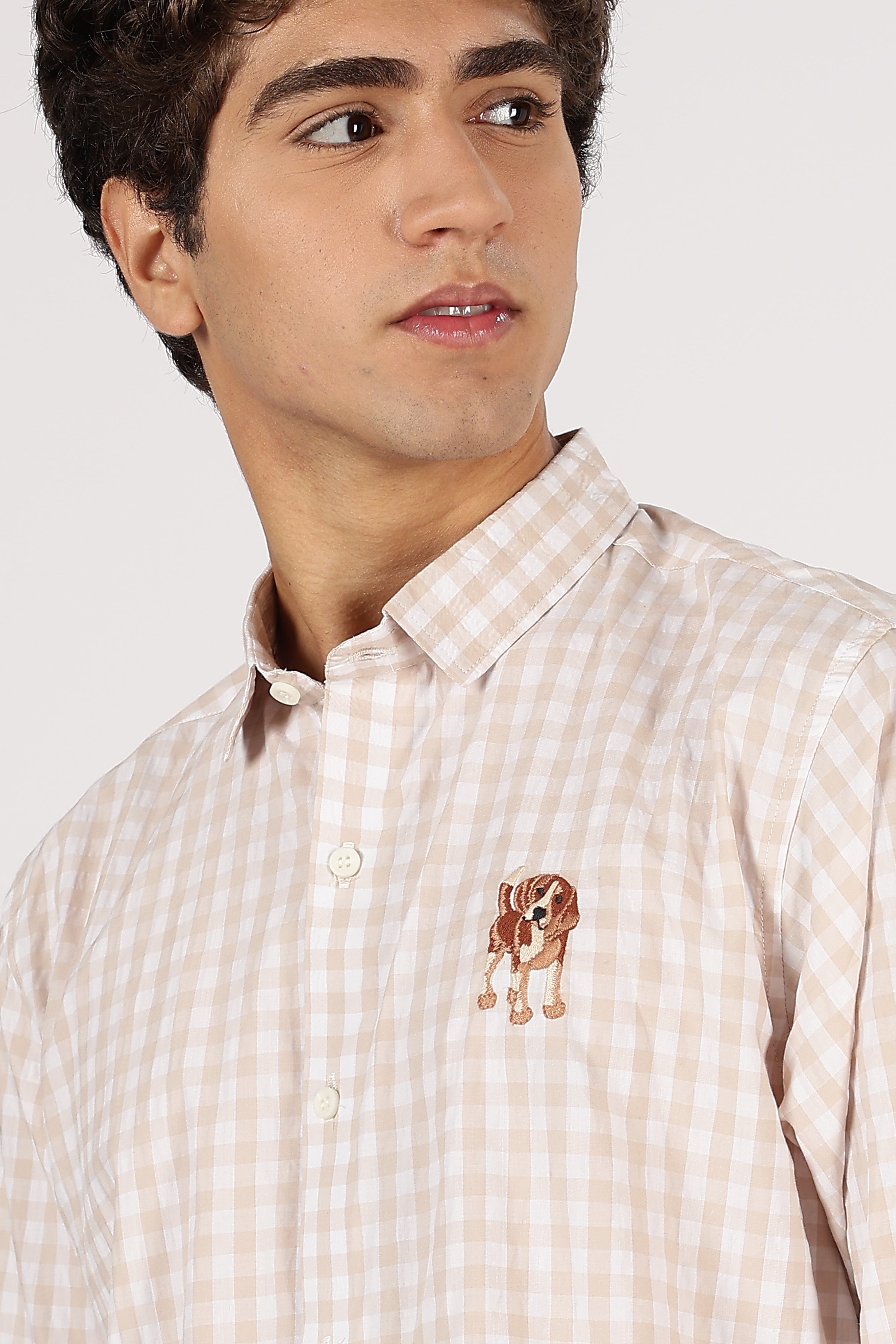 Beagle Puppy Cotton Regular Brown Embroidered Shirt