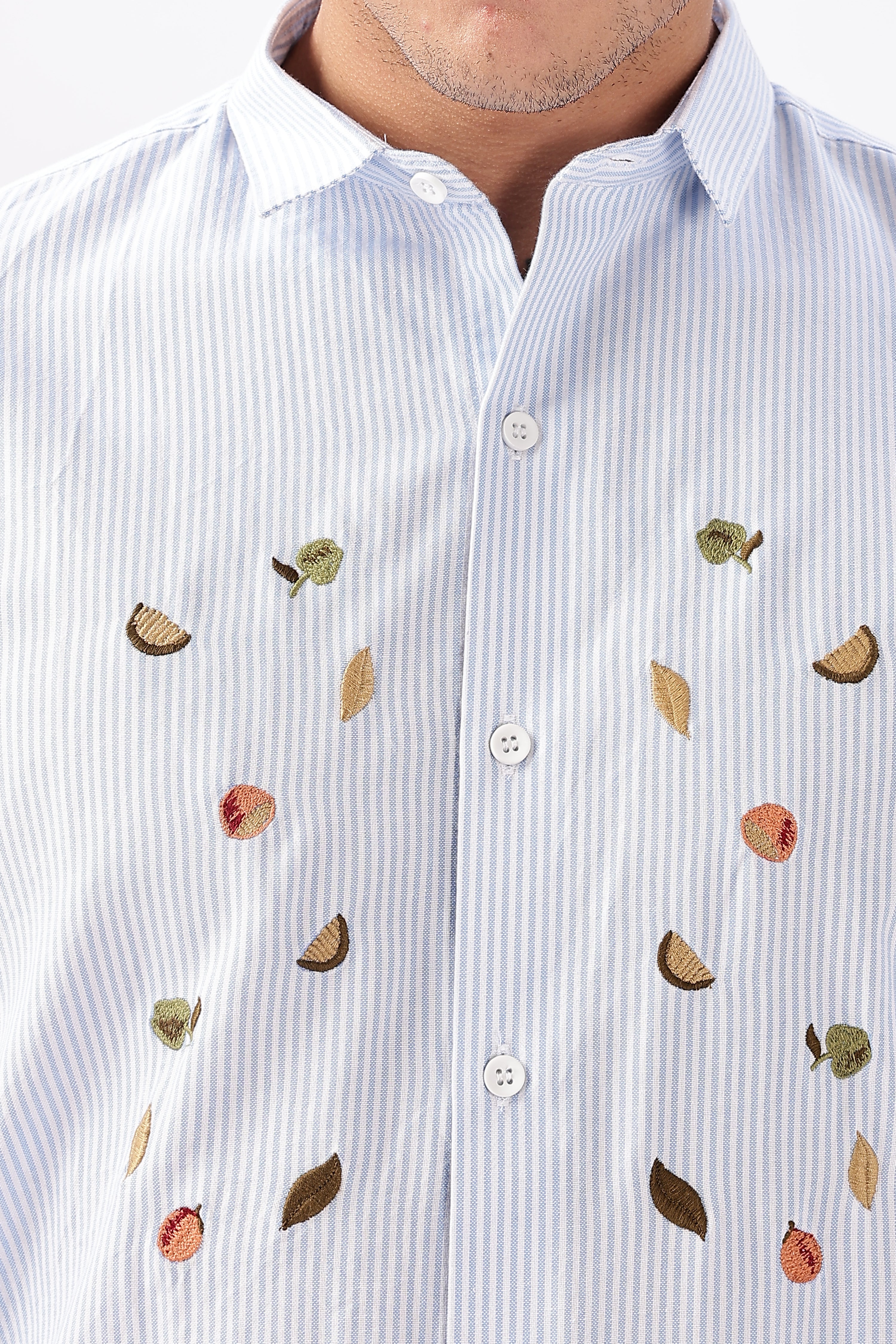 Blue Haven Botanical Embroidery Shirt