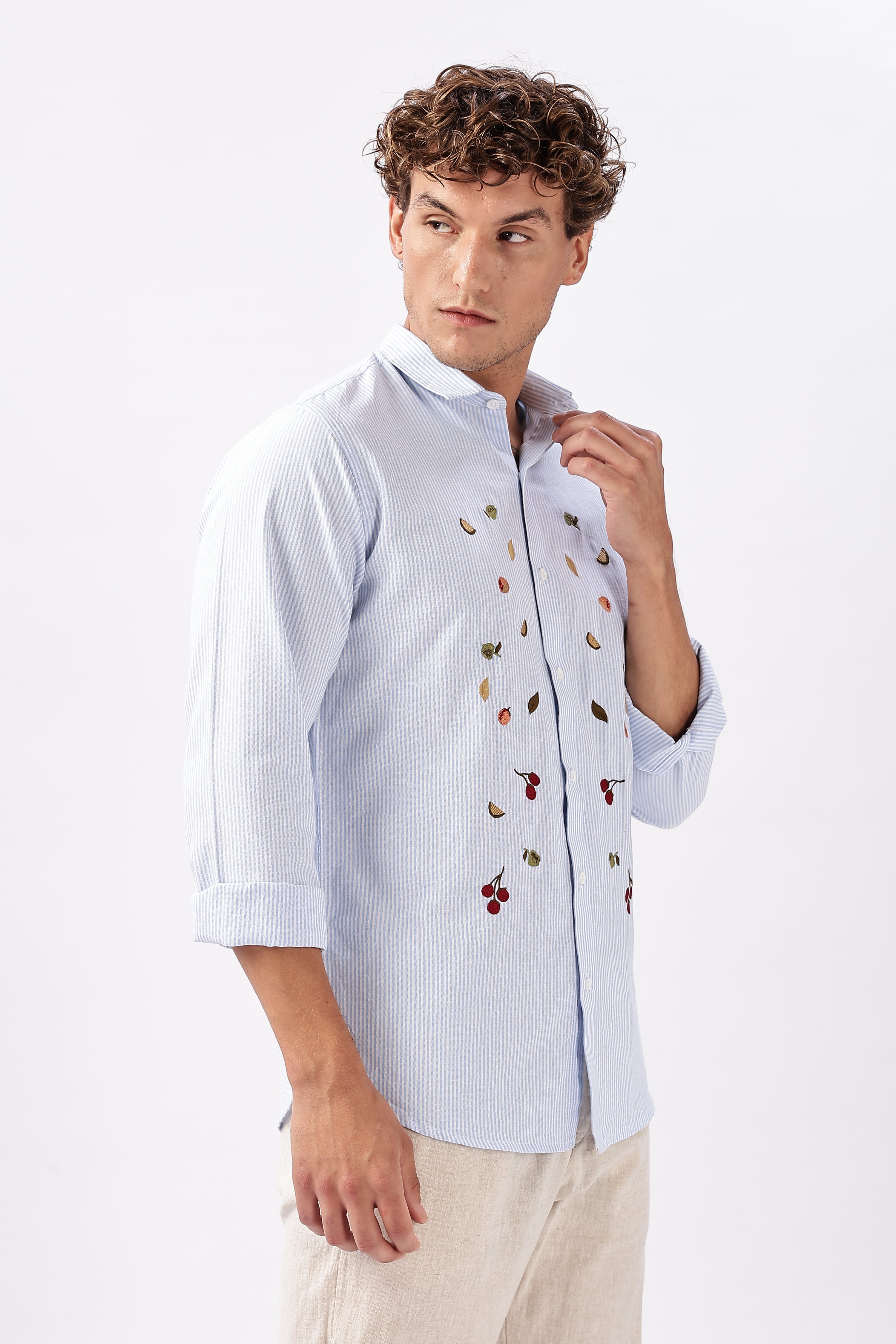 Blue Haven Botanical Embroidery Shirt