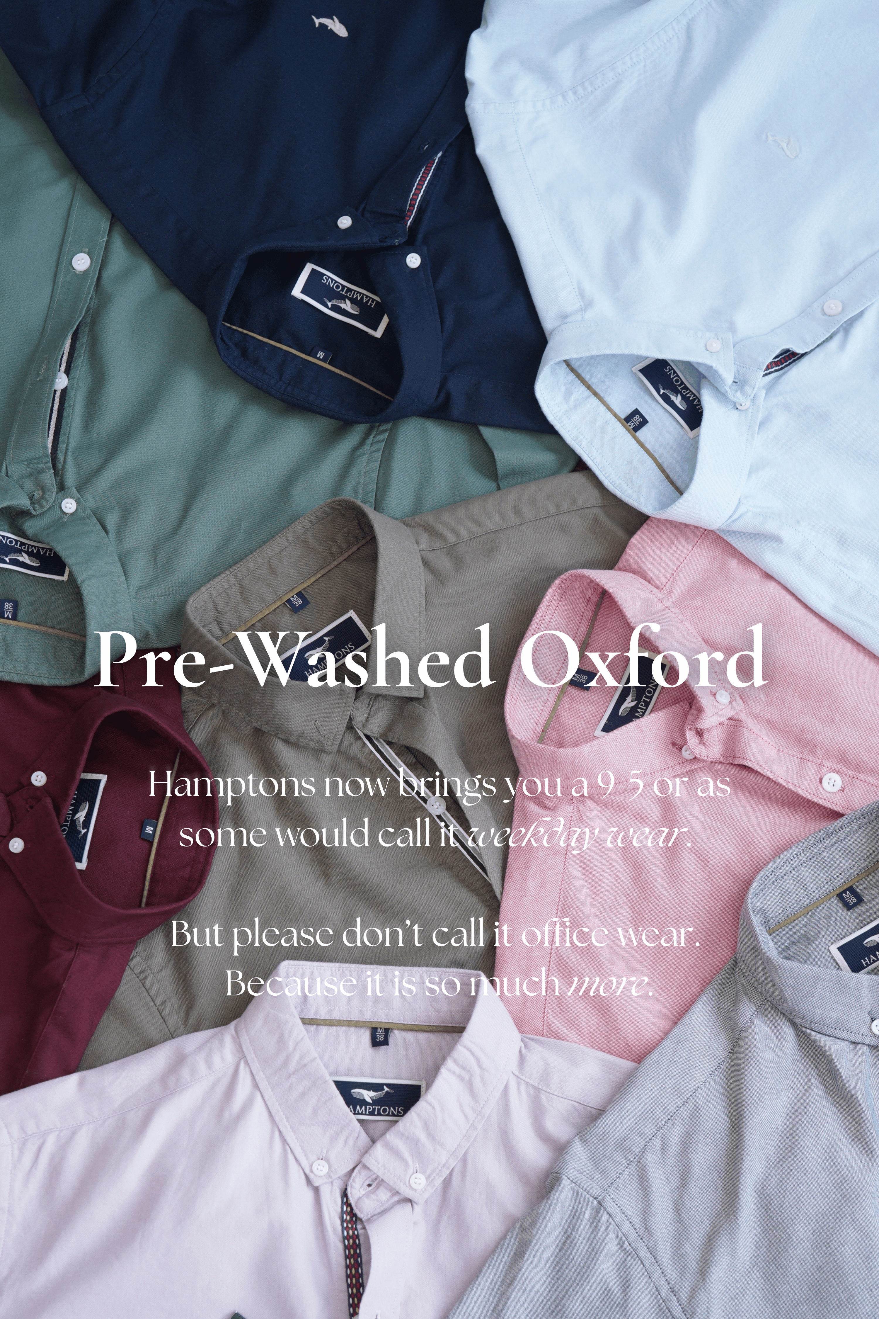 Granada Olive Pre-washed Oxford Shirt