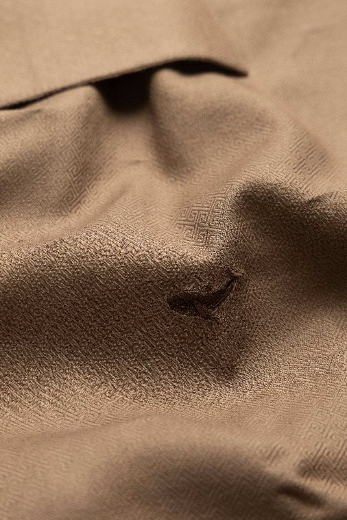 The Cigar Brown Cotton- Button Down Spread Collar Shirt
