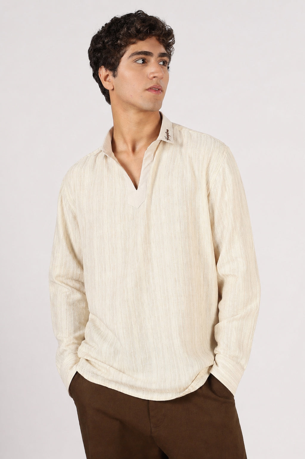 Textured Johnny Collar Cotton Regular Fit Beige Striped  Henley Shirt