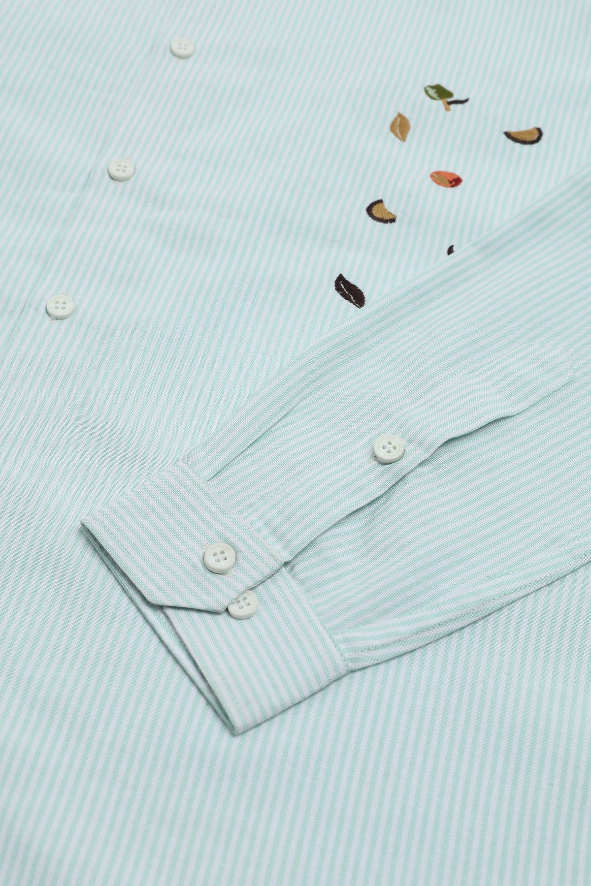 Haven Botanical Cotton Regular Fit Mint Green Striped Shirt