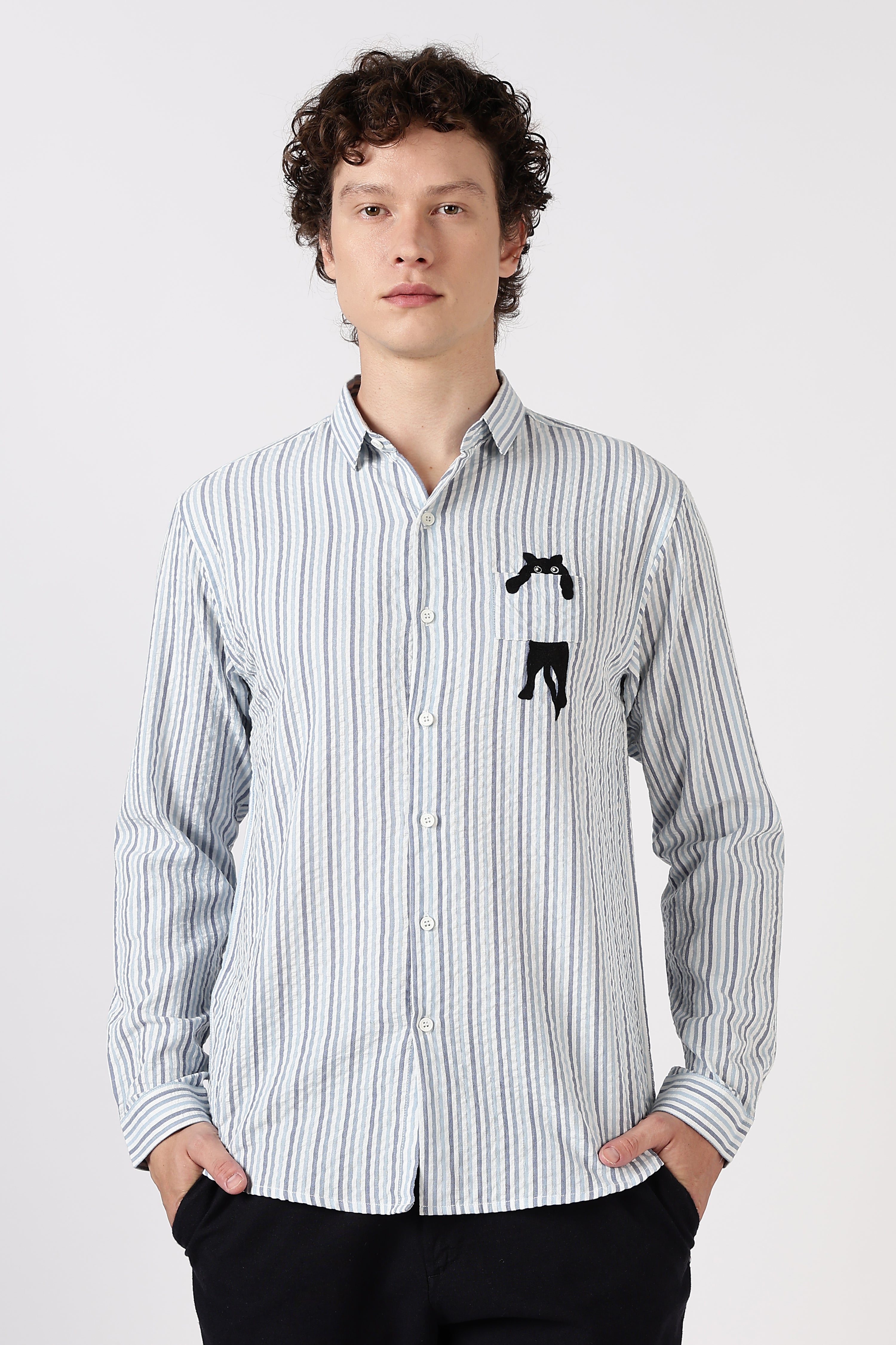 Playful Peek Cotton Regular Fit Blue Striped Embroidered Shirt