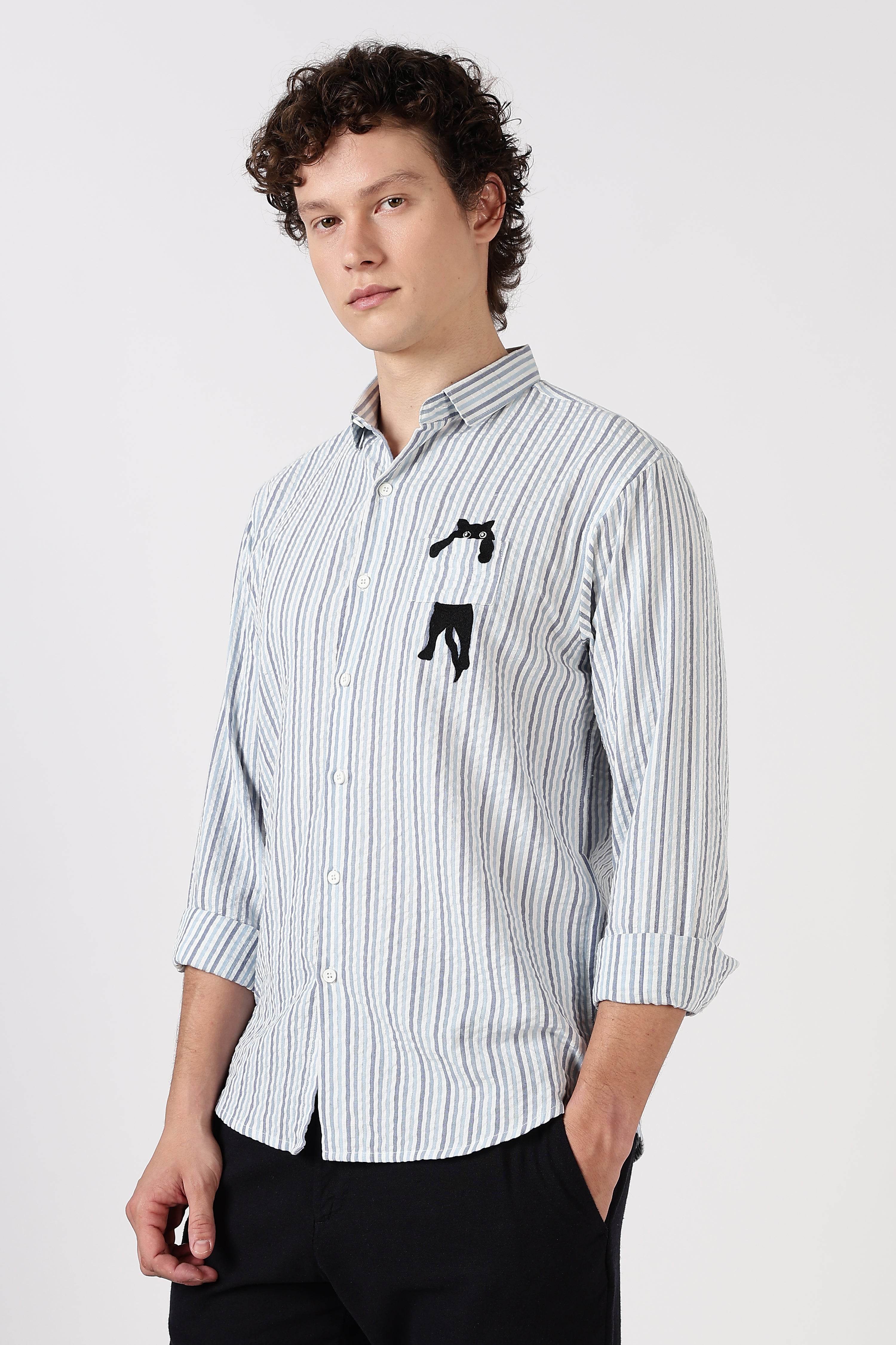Playful Peek Cotton Regular Fit Blue Striped Embroidered Shirt