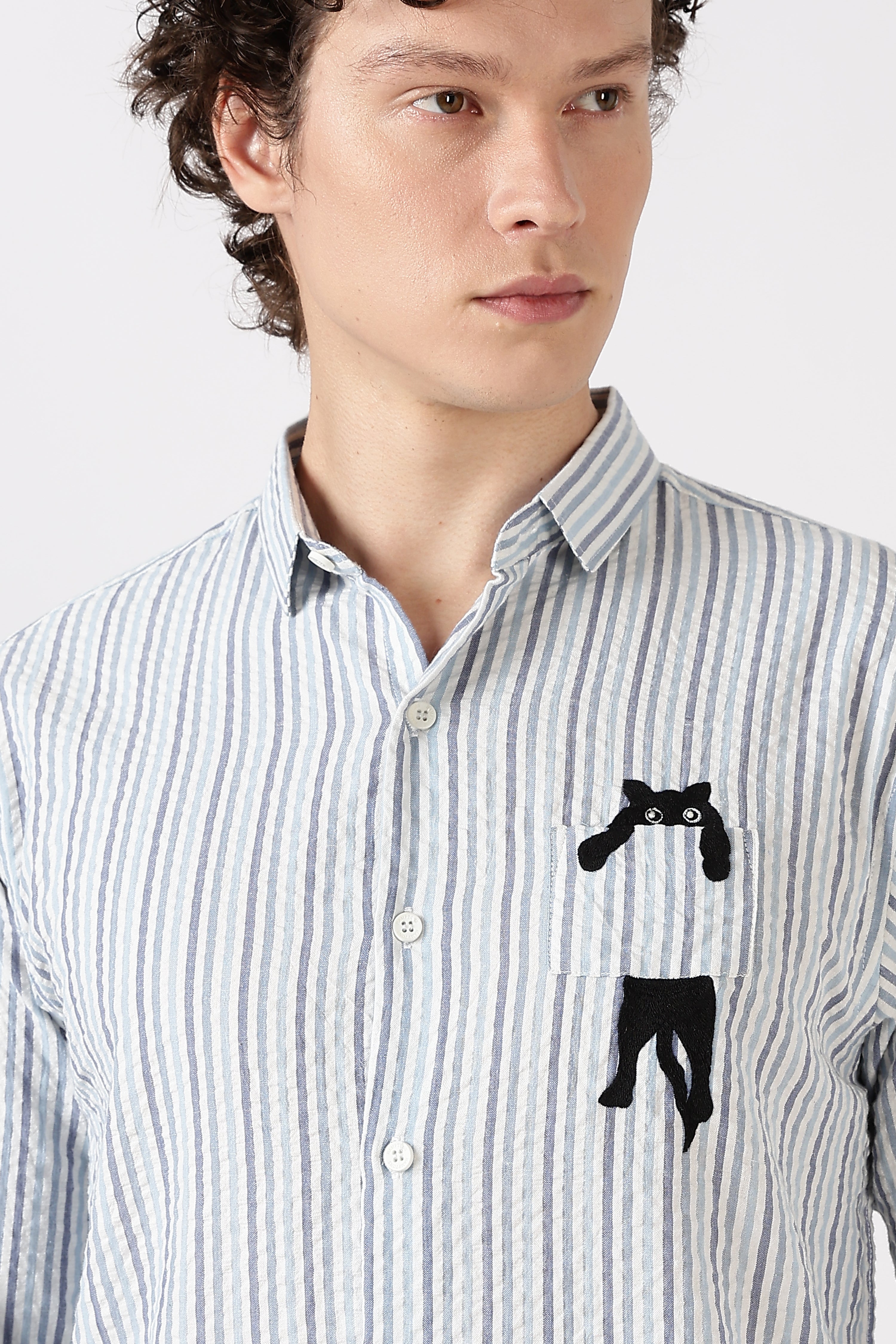 Playful Peek Cotton Regular Fit Blue Striped Embroidered Shirt