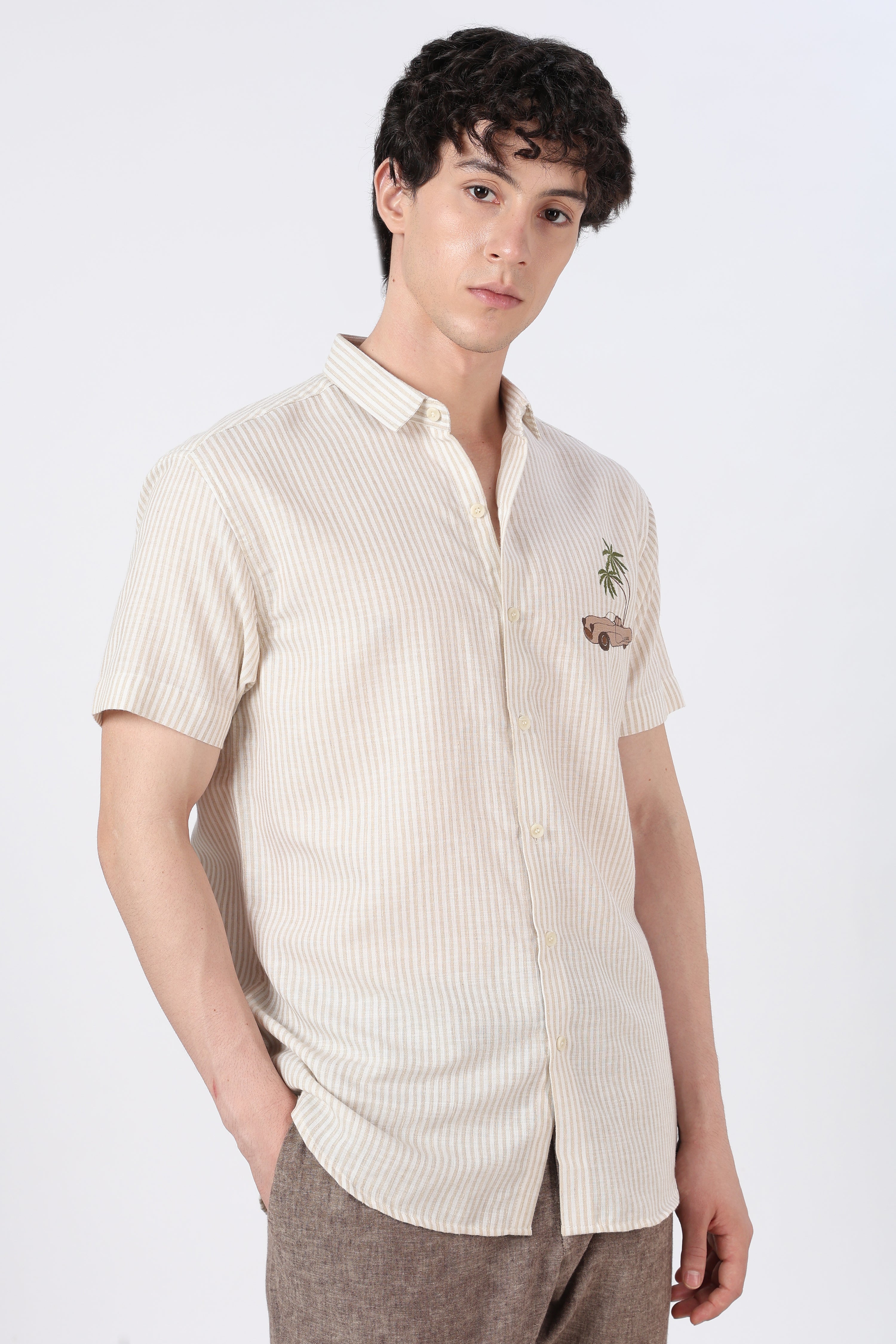 Palm Drive Cotton Regular Fit Brown Striped Shirt