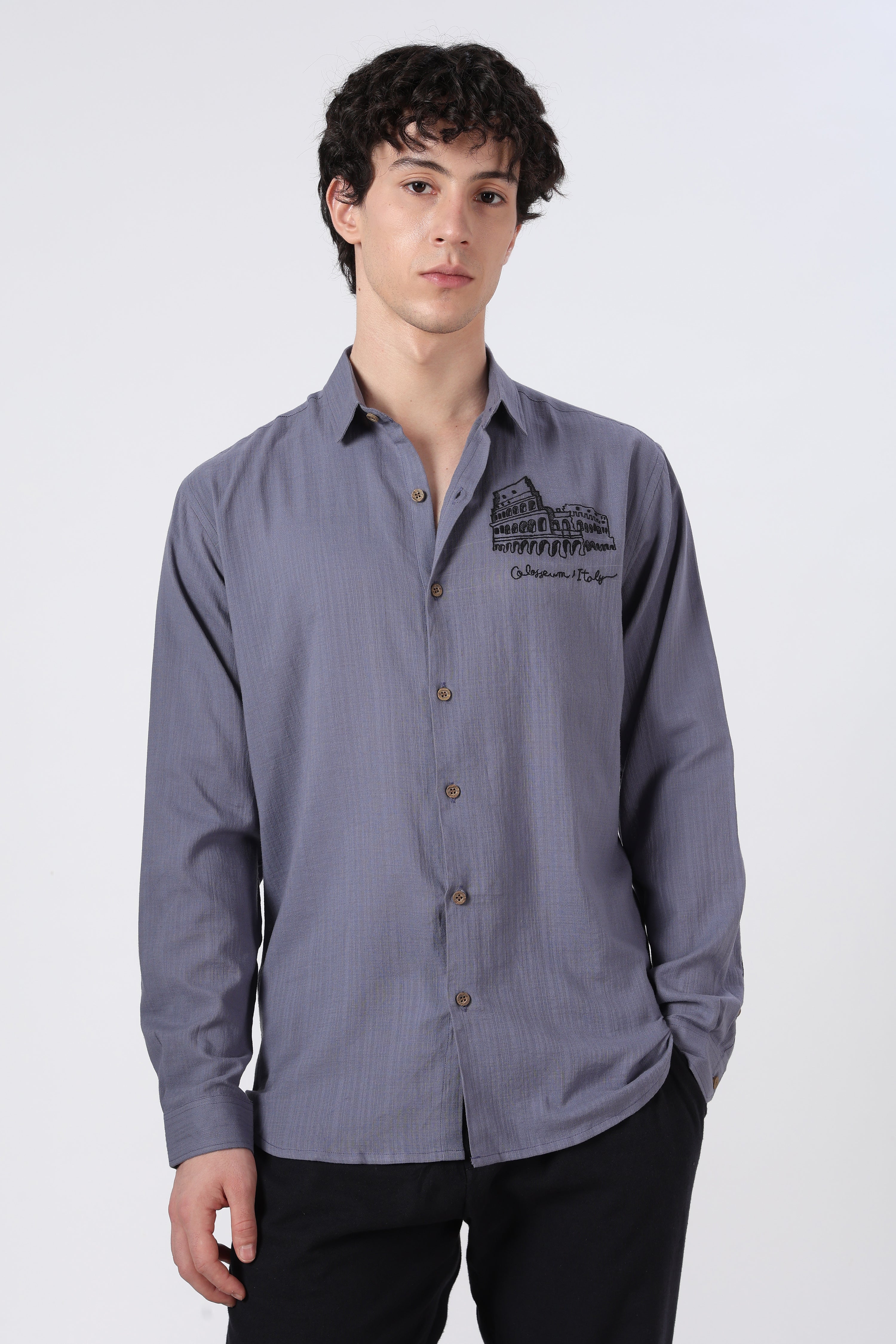 Roman Echo Cotton Regular Fit Violet Blue Embroidered Shirt