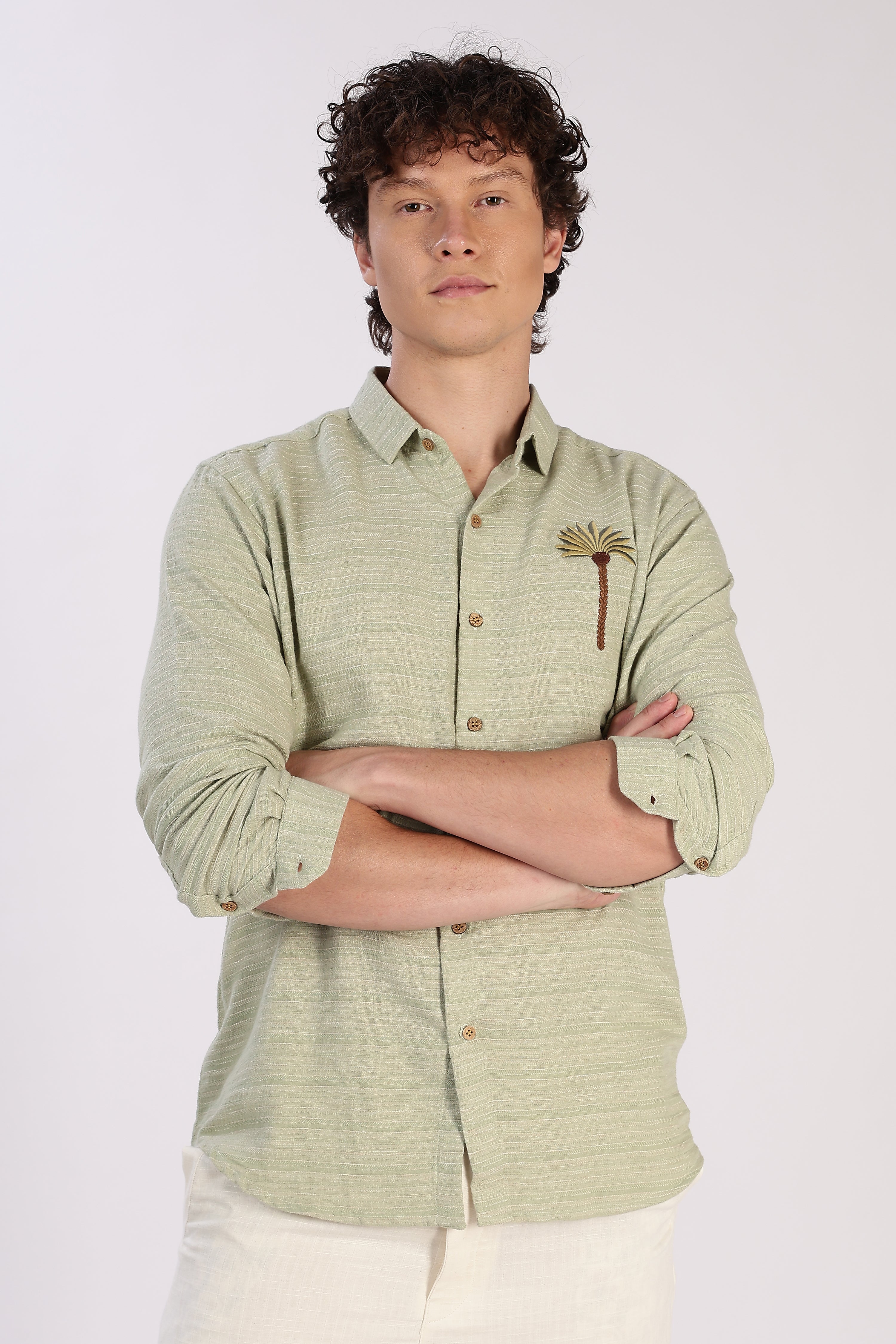 Palm Crest Cotton Regular Fit Sage Green Striped Shirt