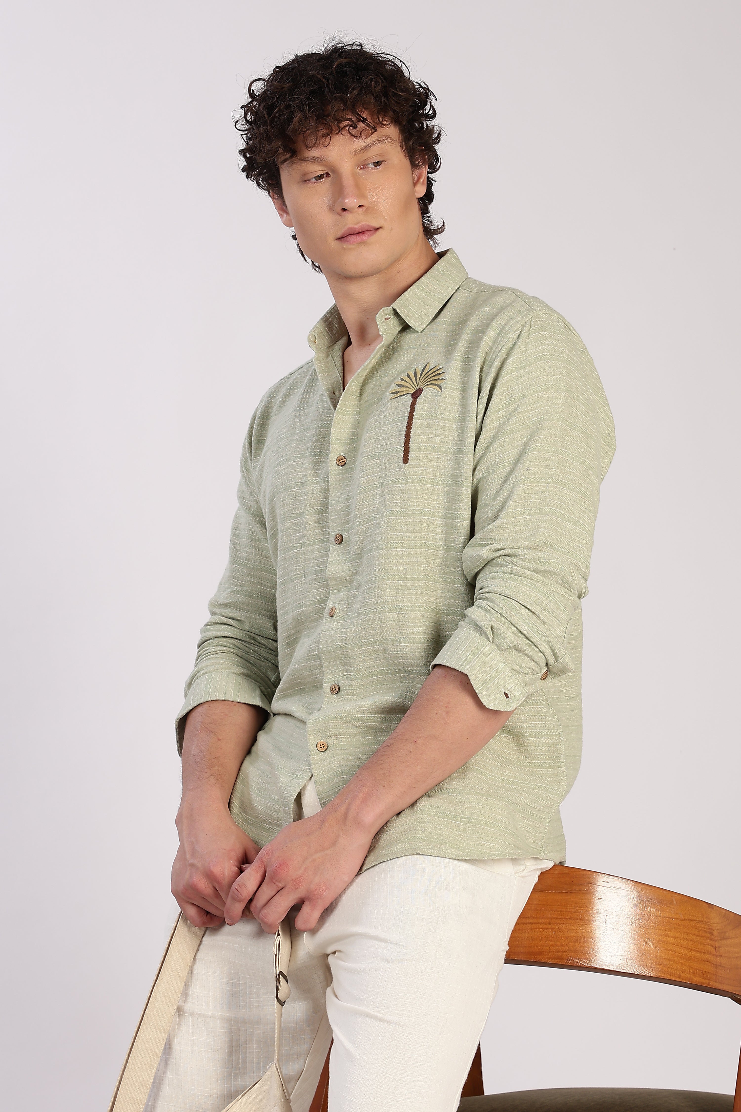 Palm Crest Cotton Regular Fit Sage Green Striped Shirt