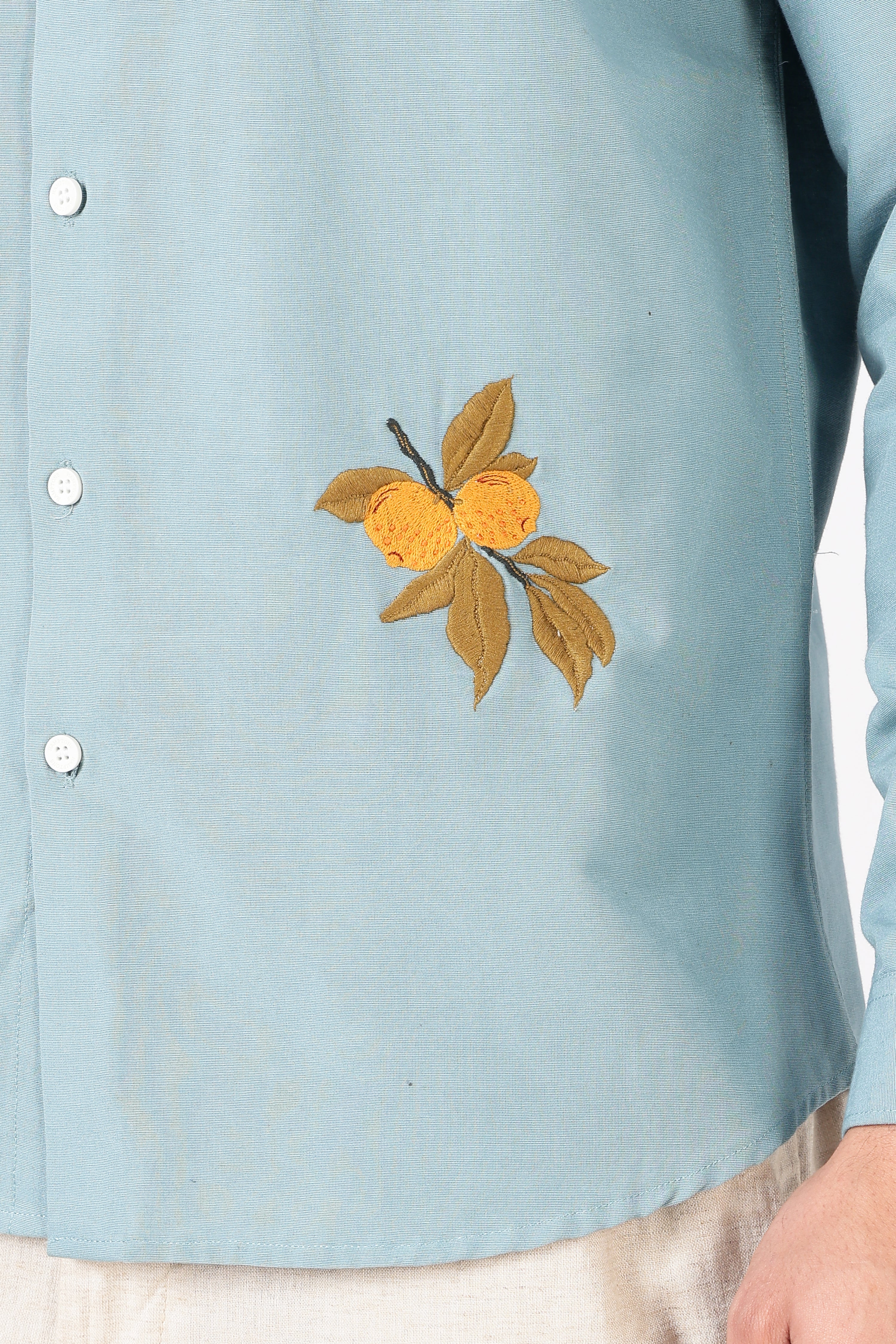 Citrus Grove Cotton Regular Fit Sky Blue Embroidered Shirt