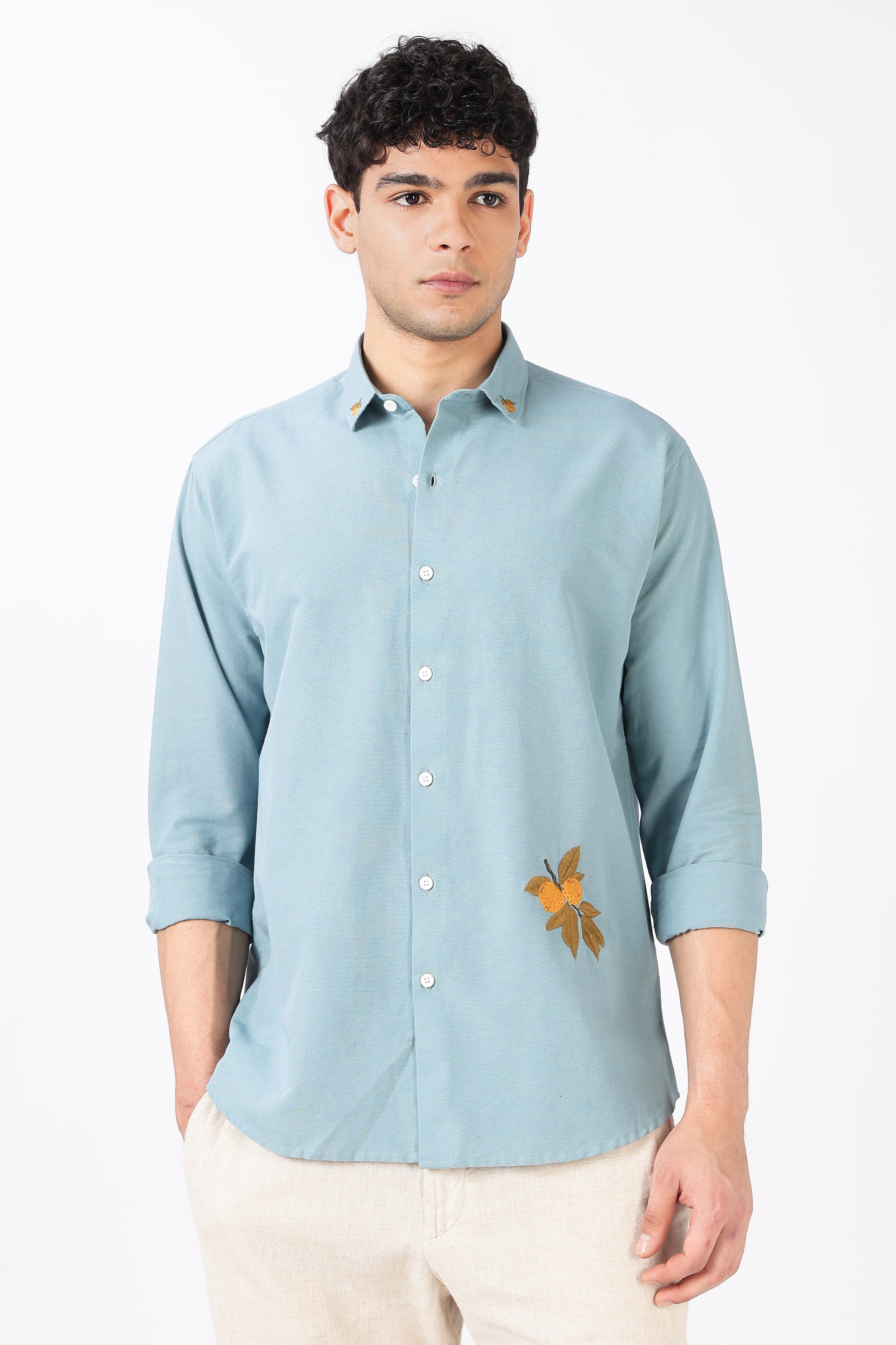 Citrus Grove Cotton Regular Fit Sky Blue Embroidered Shirt