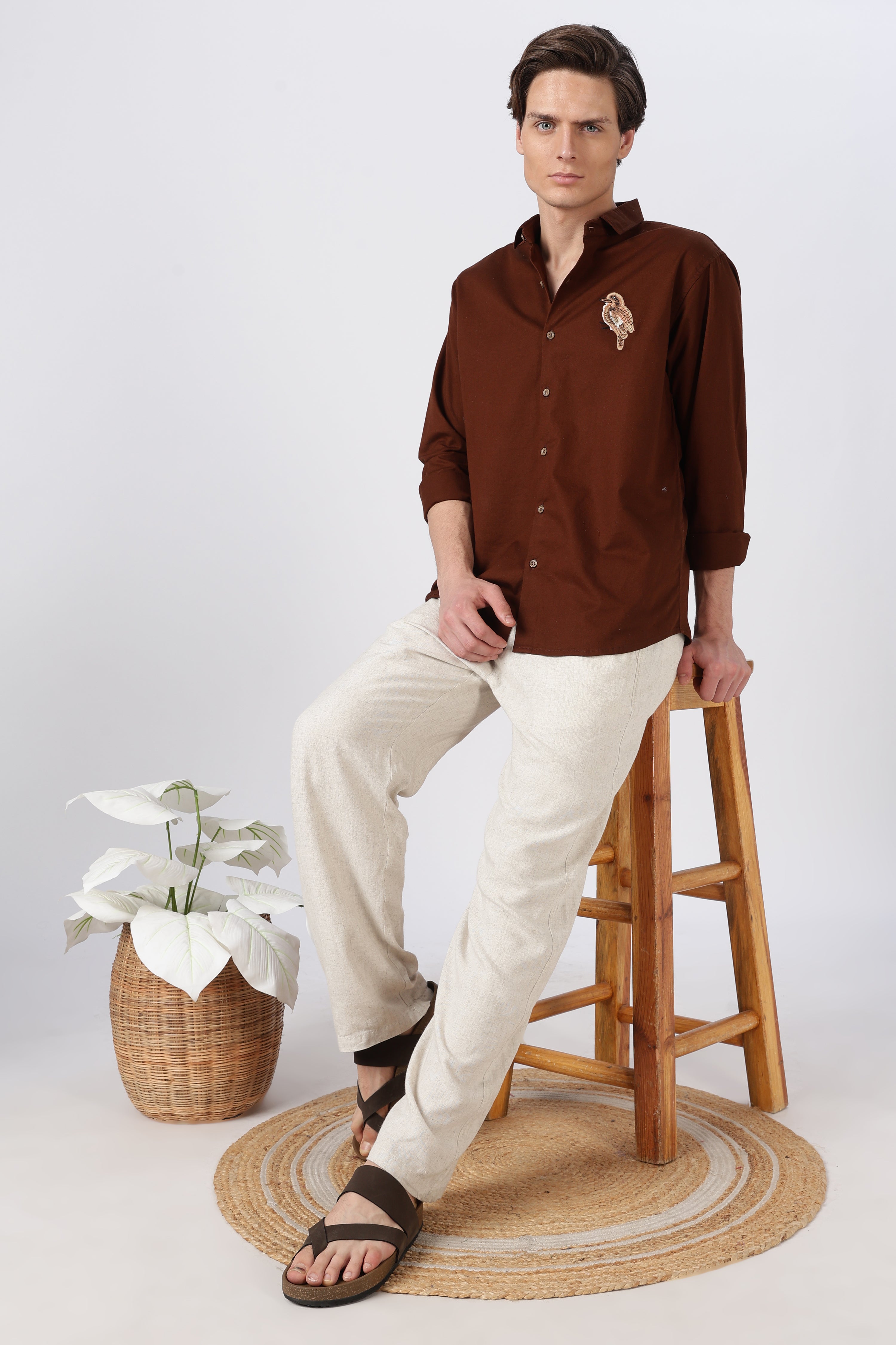 Woodland Bird Cotton Regular Fit Brown Embroidered Shirt