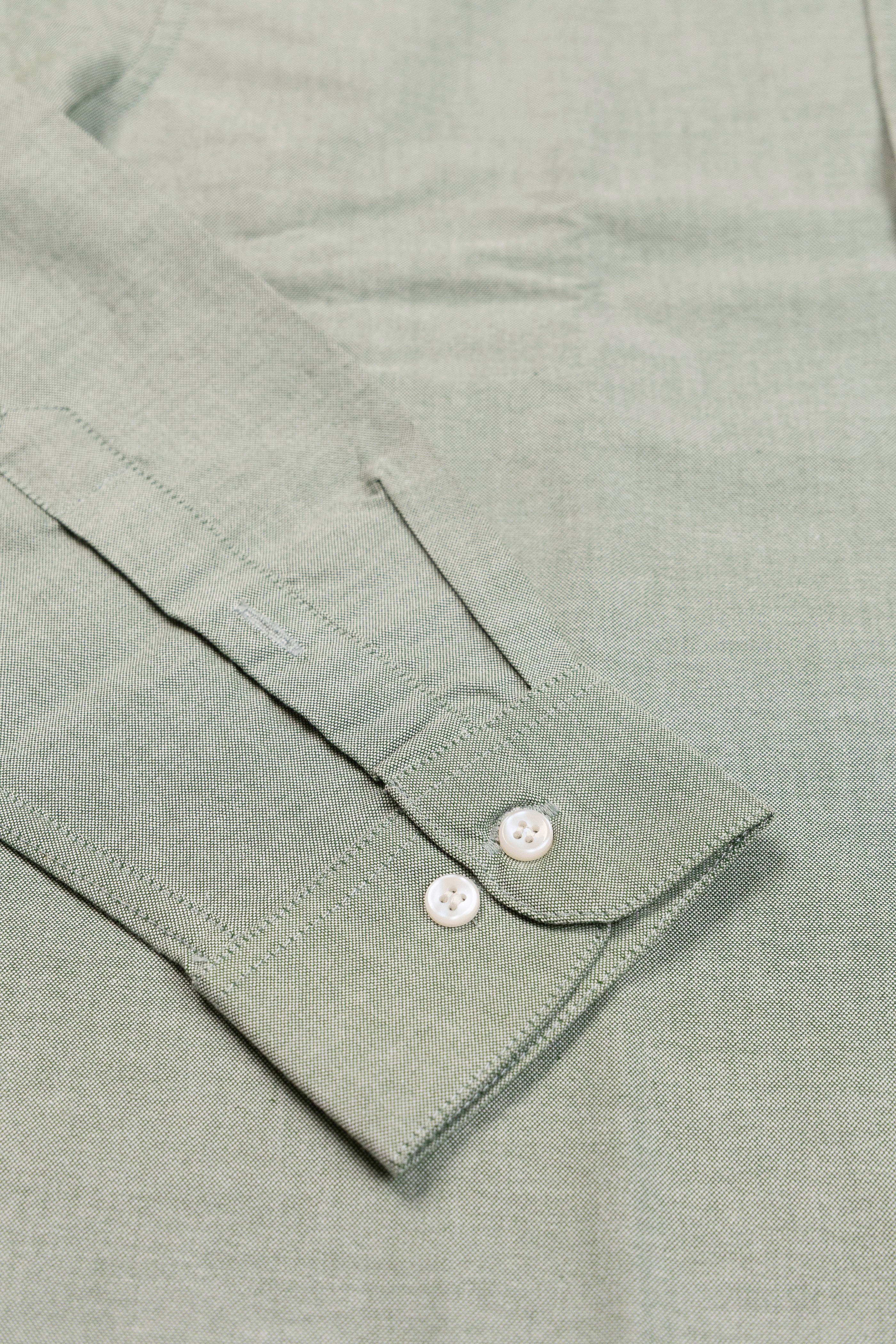 Everyday Tailored Oxford- Broad Collar Button Placket Shirt
