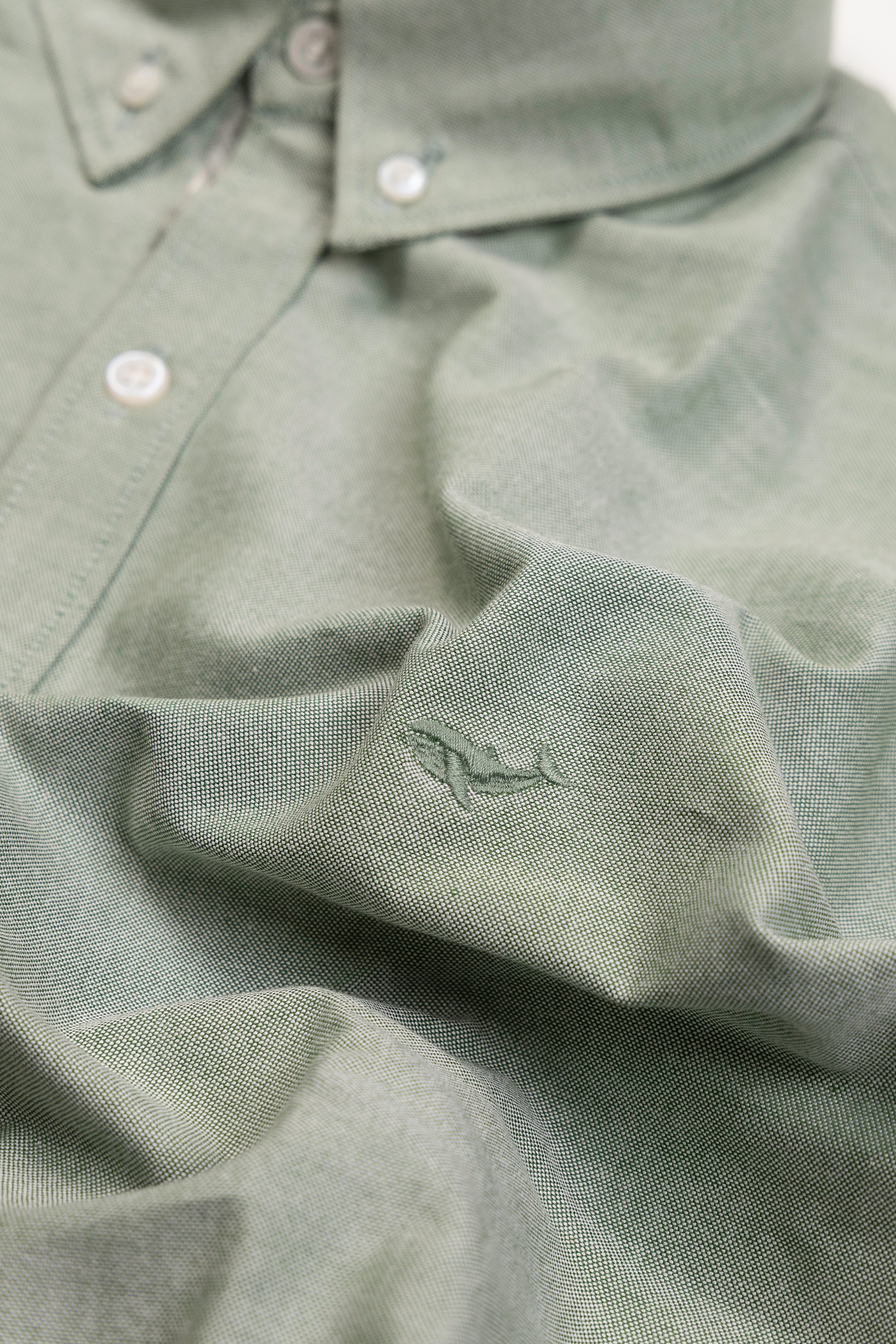 Everyday Tailored Oxford- Broad Collar Button Placket Shirt