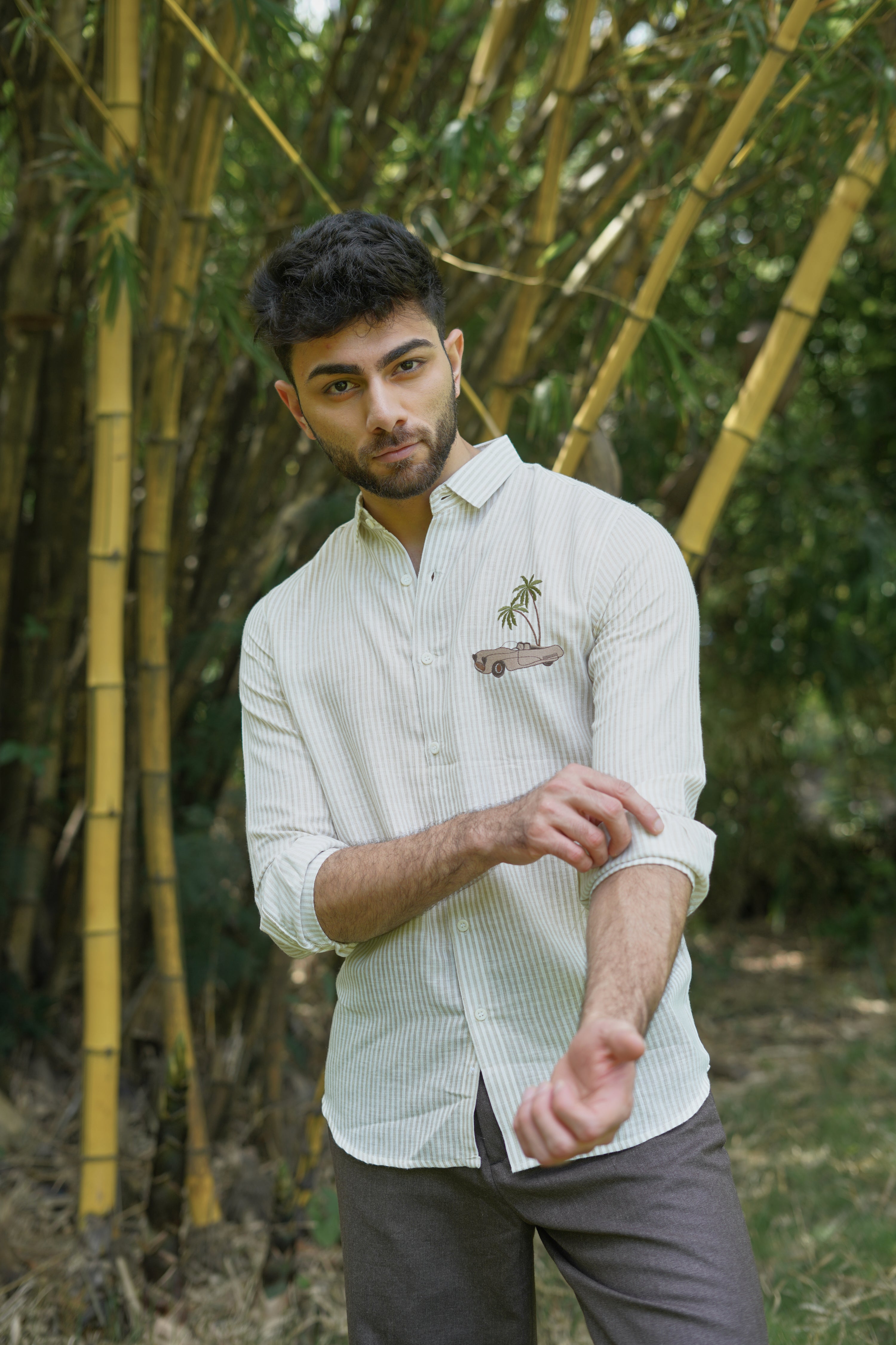 Palm Drive Embroidered Stripes Shirt